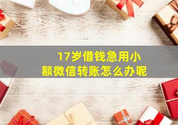 17岁借钱急用小额微信转账怎么办呢