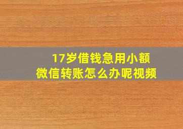 17岁借钱急用小额微信转账怎么办呢视频