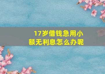 17岁借钱急用小额无利息怎么办呢