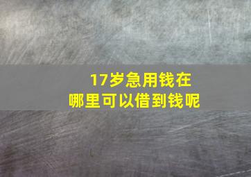 17岁急用钱在哪里可以借到钱呢