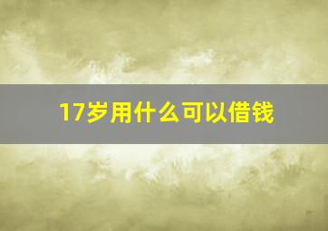 17岁用什么可以借钱