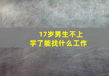 17岁男生不上学了能找什么工作