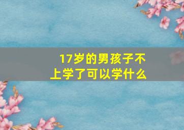 17岁的男孩子不上学了可以学什么