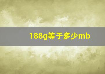 188g等于多少mb