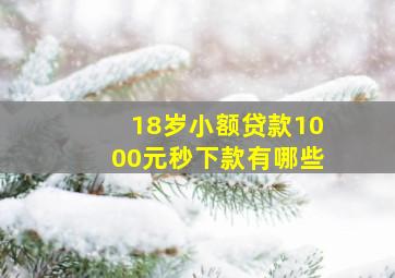 18岁小额贷款1000元秒下款有哪些