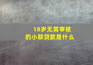 18岁无需审核的小额贷款是什么