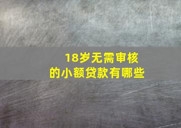 18岁无需审核的小额贷款有哪些