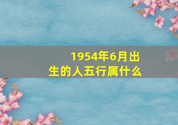 1954年6月出生的人五行属什么