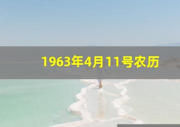 1963年4月11号农历