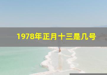 1978年正月十三是几号