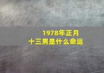 1978年正月十三男是什么命运