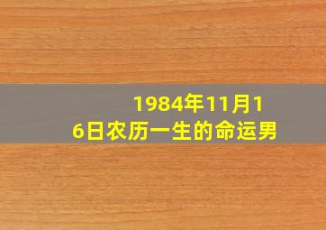 1984年11月16日农历一生的命运男