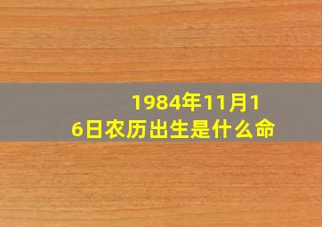 1984年11月16日农历出生是什么命