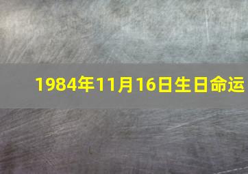 1984年11月16日生日命运