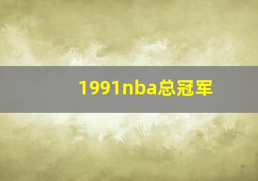 1991nba总冠军