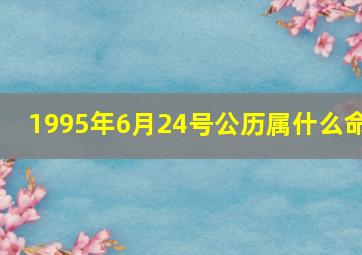 1995年6月24号公历属什么命