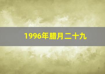 1996年腊月二十九