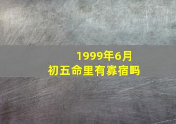 1999年6月初五命里有寡宿吗