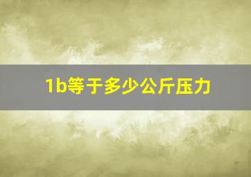 1b等于多少公斤压力