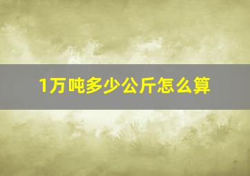 1万吨多少公斤怎么算