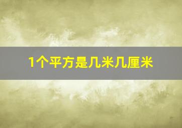 1个平方是几米几厘米