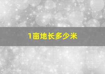 1亩地长多少米