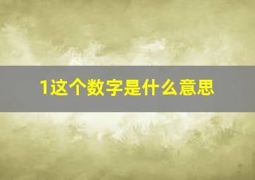 1这个数字是什么意思