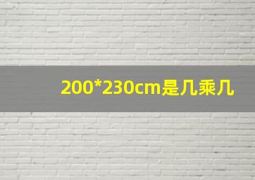 200*230cm是几乘几