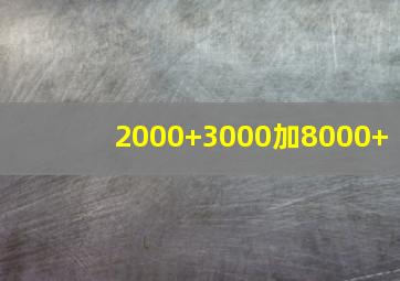 2000+3000加8000+