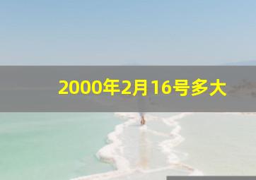 2000年2月16号多大