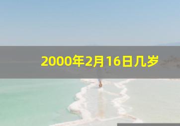 2000年2月16日几岁