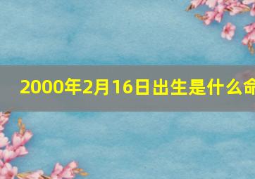 2000年2月16日出生是什么命