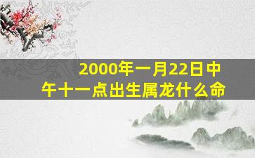 2000年一月22日中午十一点出生属龙什么命