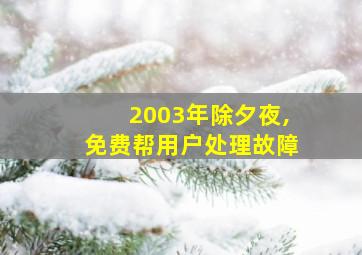 2003年除夕夜,免费帮用户处理故障