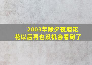 2003年除夕夜烟花花以后再也没机会看到了