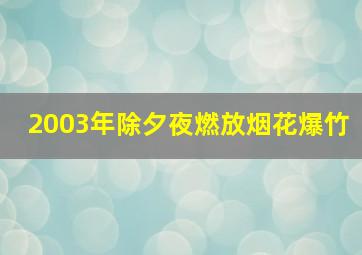 2003年除夕夜燃放烟花爆竹