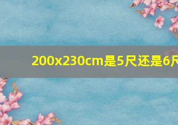 200x230cm是5尺还是6尺