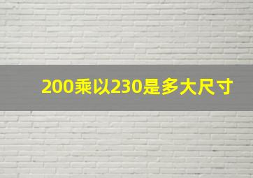 200乘以230是多大尺寸