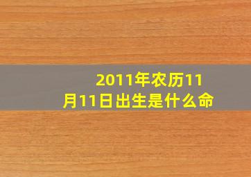 2011年农历11月11日出生是什么命