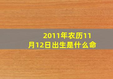 2011年农历11月12日出生是什么命