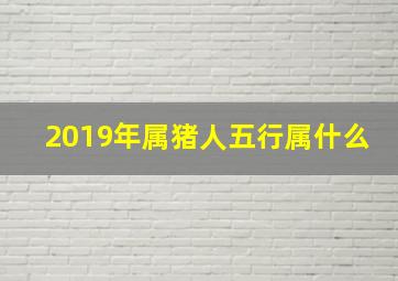 2019年属猪人五行属什么