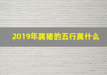 2019年属猪的五行属什么