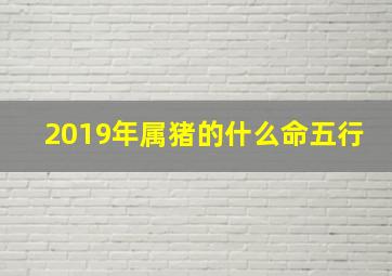 2019年属猪的什么命五行