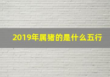 2019年属猪的是什么五行