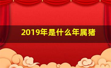 2019年是什么年属猪