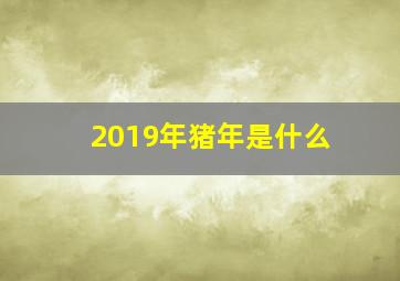 2019年猪年是什么