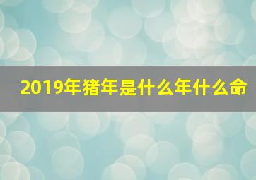 2019年猪年是什么年什么命