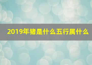 2019年猪是什么五行属什么