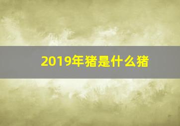 2019年猪是什么猪