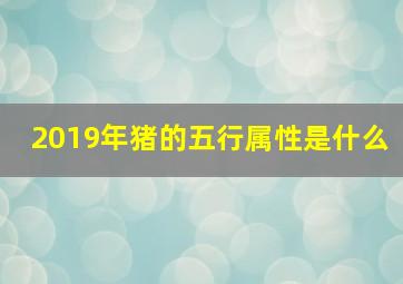 2019年猪的五行属性是什么